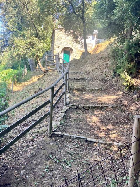Gartenweg hinauf zum Steinhaus