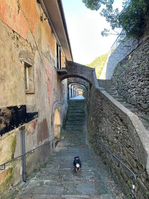 Gasse mit Treppe am Kloster